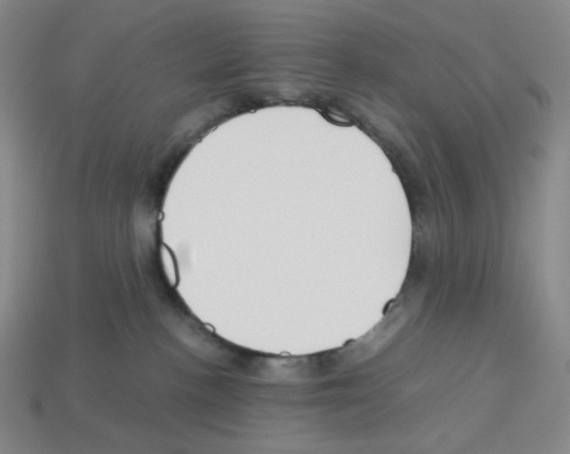 X0000112750188200910011202