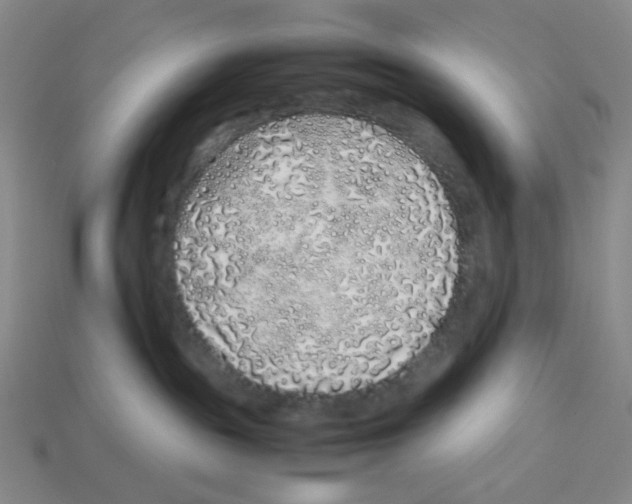 X0000112750189200910011202