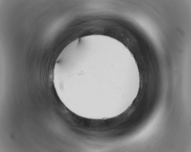 X0000112750190200910011202