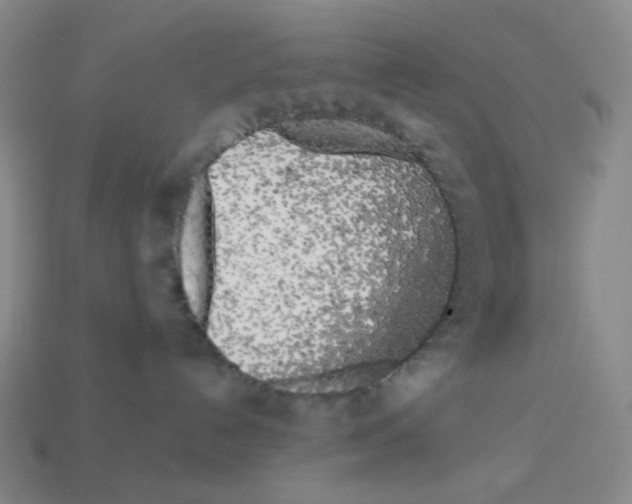 X0000112750192200910011203