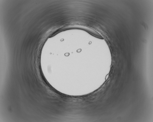 X0000112750193200910011202