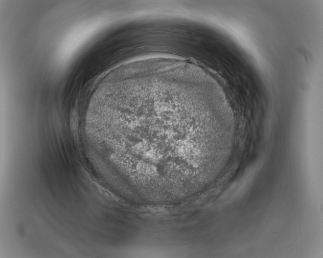 X0000112750194200910011202