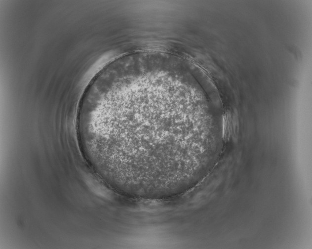 X0000112750195200910011202