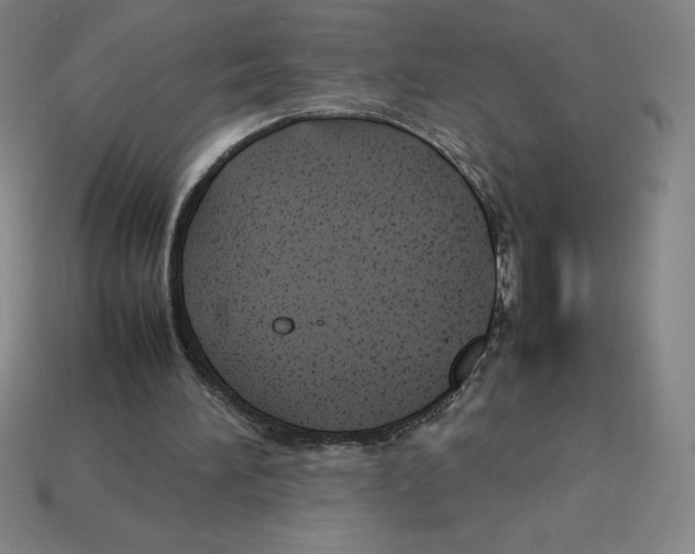 X0000112750196200910011202