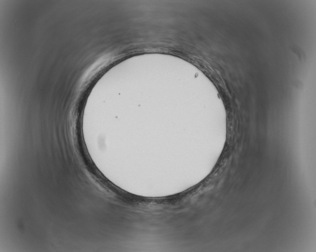 X0000112750197200910011202