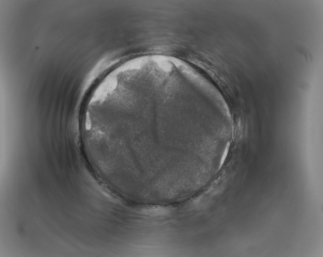 X0000112750198200910011202