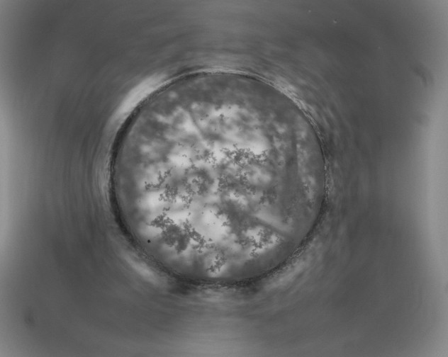 X0000112750199200910011202