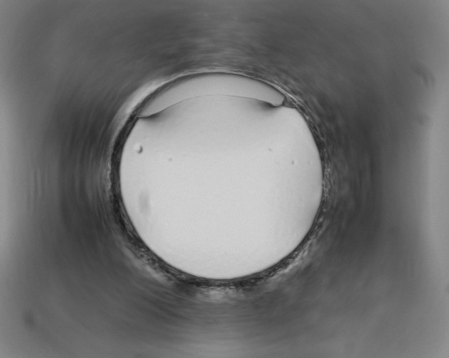 X0000112750200200910011202