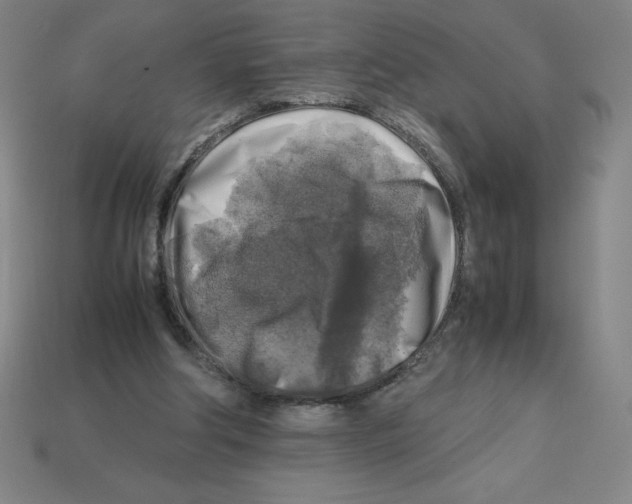 X0000112750202200910011202