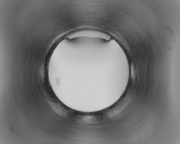 X0000112750204200910011202