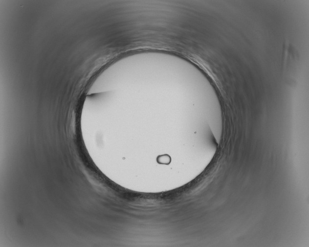 X0000112750205200910011202