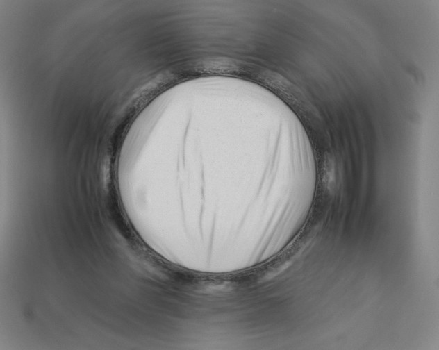 X0000112750206200910011202