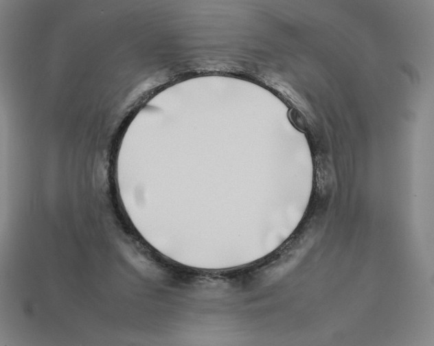 X0000112750207200910011202