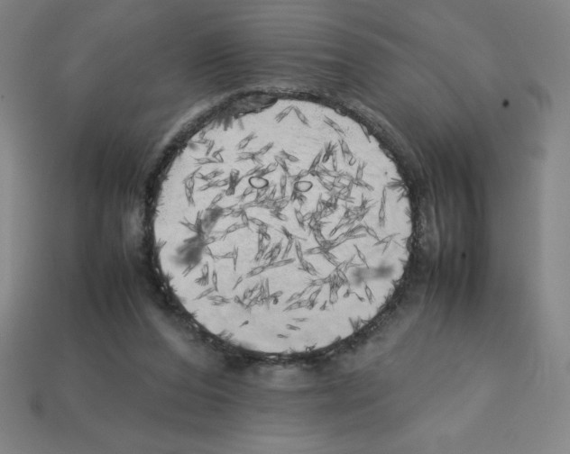 X0000112750208200910011202