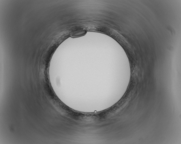 X0000112750209200910011202