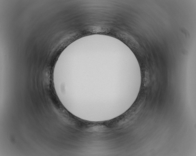 X0000112750210200910011202