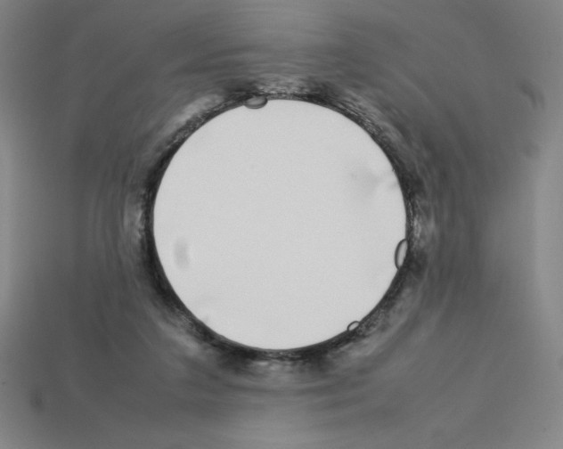 X0000112750211200910011202