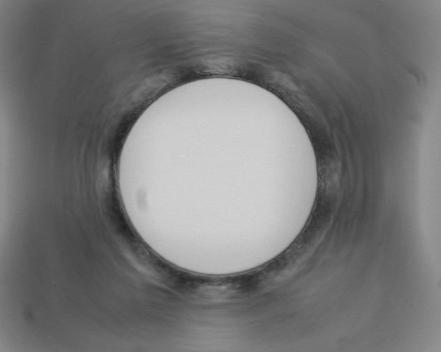 X0000112750213200910011202