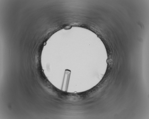 X0000112750215200910011201