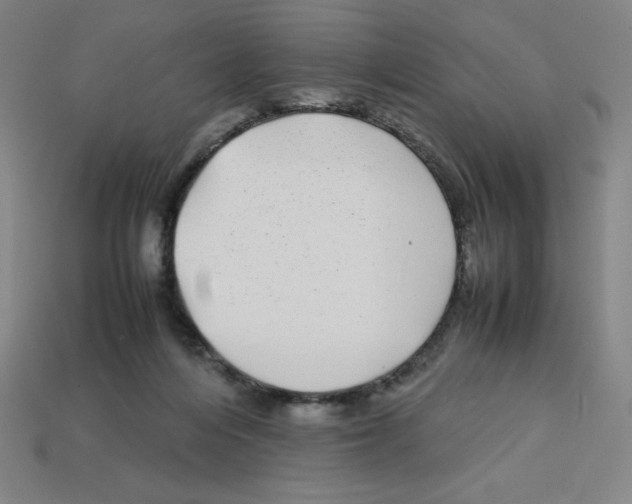 X0000112750216200910011201