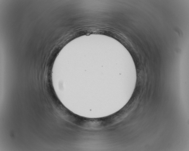 X0000112750217200910011201