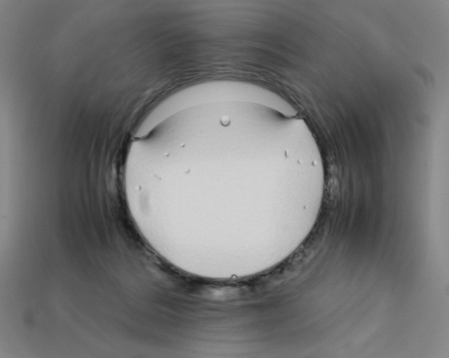 X0000112750220200910011201