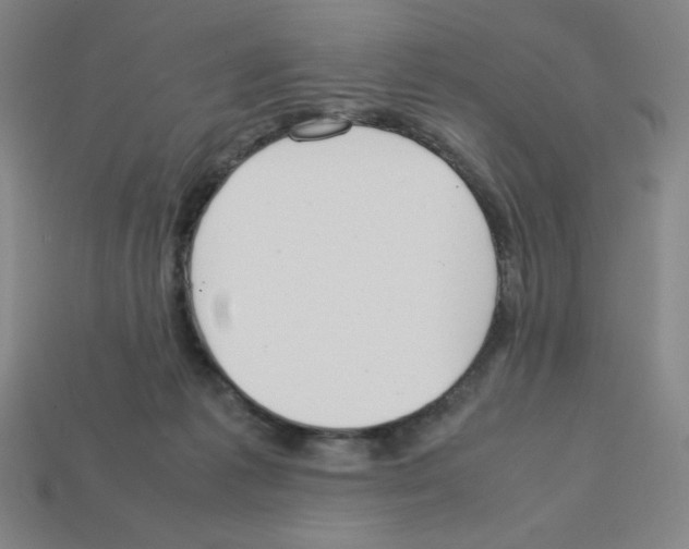 X0000112750221200910011201