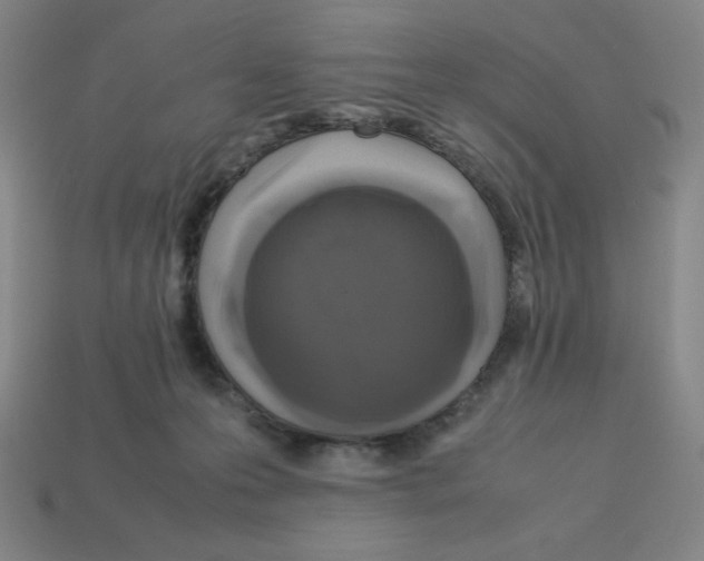 X0000112750223200910011201