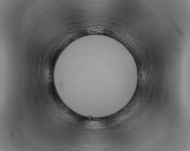 X0000112750224200910011201