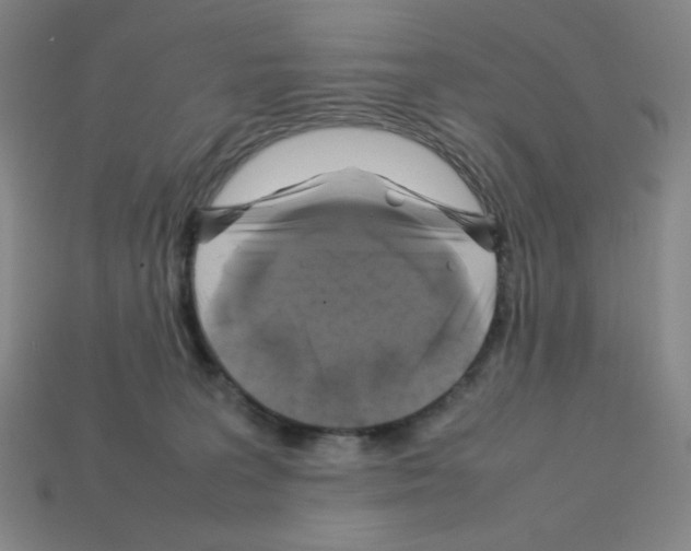 X0000112750227200910011201