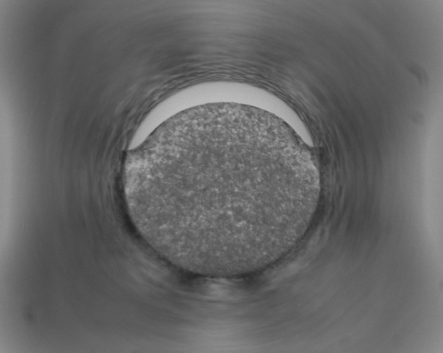 X0000112750229200910011201