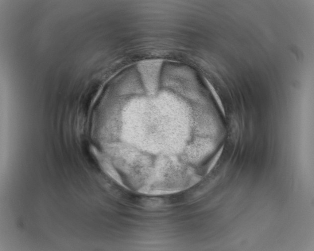 X0000112750230200910011201