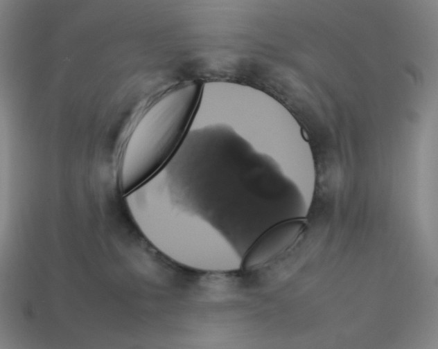 X0000112750231200910011201