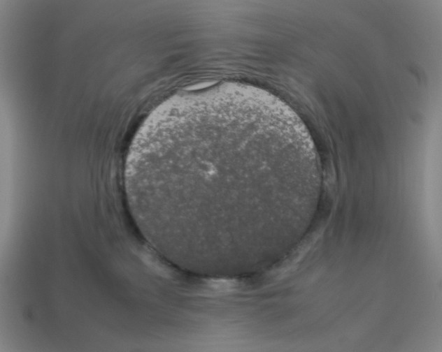 X0000112750233200910011201