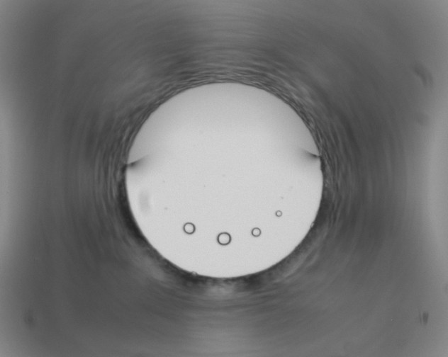 X0000112750235200910011201