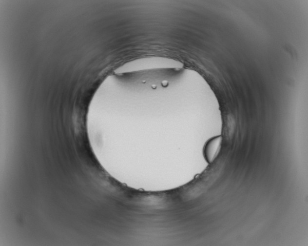 X0000112750236200910011201