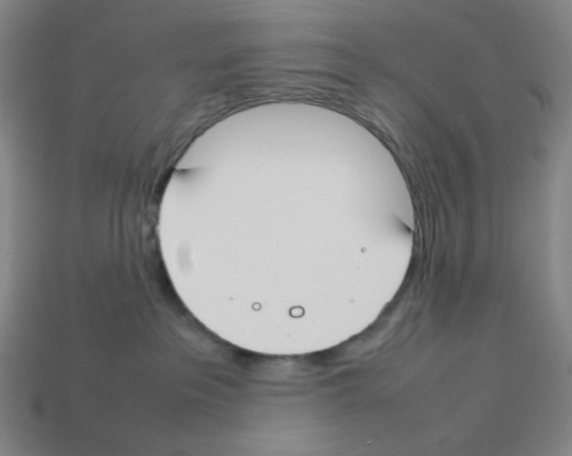 X0000112750237200910011201