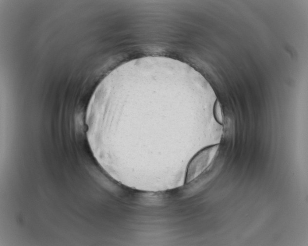 X0000112750238200910011201