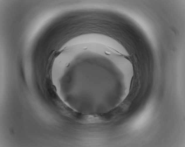 X0000112750239200910011201