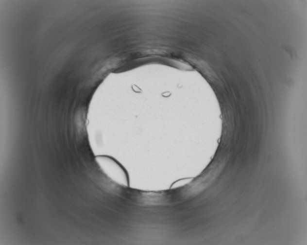 X0000112750240200910011201