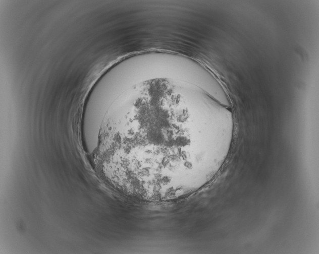 X0000112750241200910011200