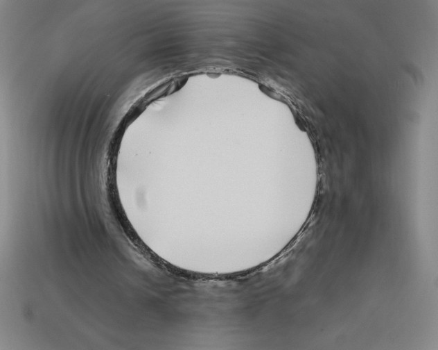 X0000112750242200910011200