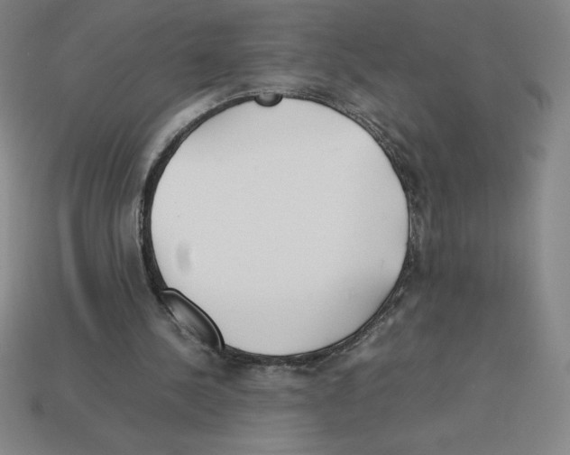 X0000112750244200910011201