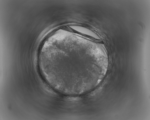 X0000112750247200910011201