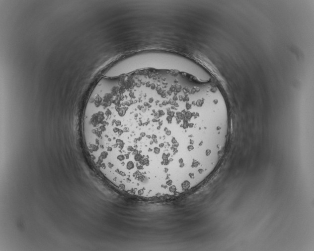 X0000112750249200910011201