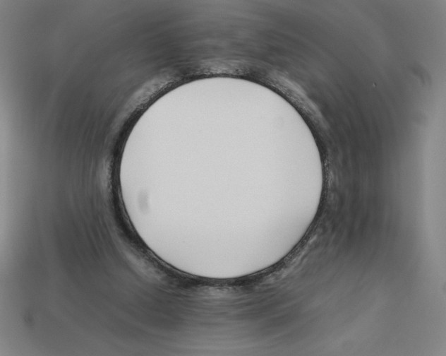 X0000112750250200910011201