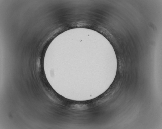 X0000112750251200910011201