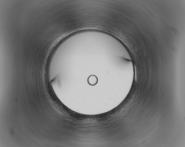 X0000112750252200910011201