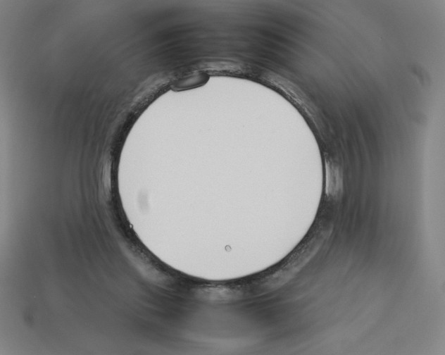 X0000112750253200910011201