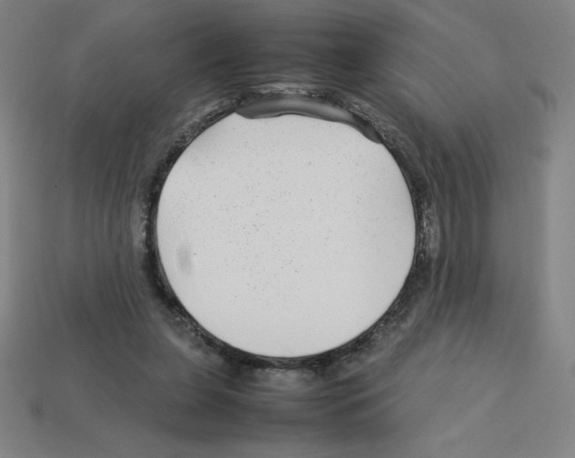 X0000112750255200910011201